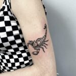 tatouage scorpion, tatouage bras, tatouage femme, alex kozak, excess tattoo, tatoueur béziers